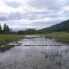 Downstream view of degraded channel  before construction (Reach 1)