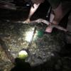 Juvenile bull trout rescue (YN)