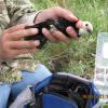 color-banded female White-headed Woodpecker