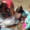 Yakama children watch Mark Johnston survey mackinaw for sockeye smolts (May 2013)