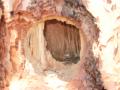 Shallow hole cut in snag to access nestlings in cavity