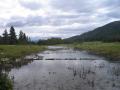 Downstream view of degraded channel  before construction (Reach 1)