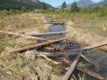 Upstream view of reconstructed channel