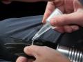 Gluing transmitter to tail feather of a White-headed Woodpecker