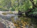 Dry Creek RM 1.8-3.8