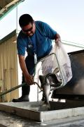 Chuck Carl loads Sockeye at Priest Rapids Dam for transport to Lake Cle Elum