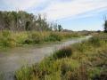 Wetland in project area