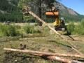 Placing channel spanning logs